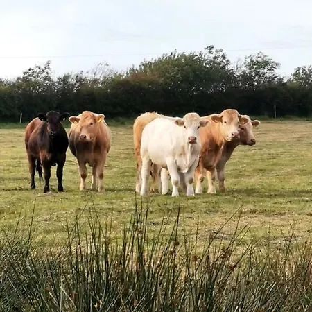 Elsie's Sea View Lahinch Rinneen